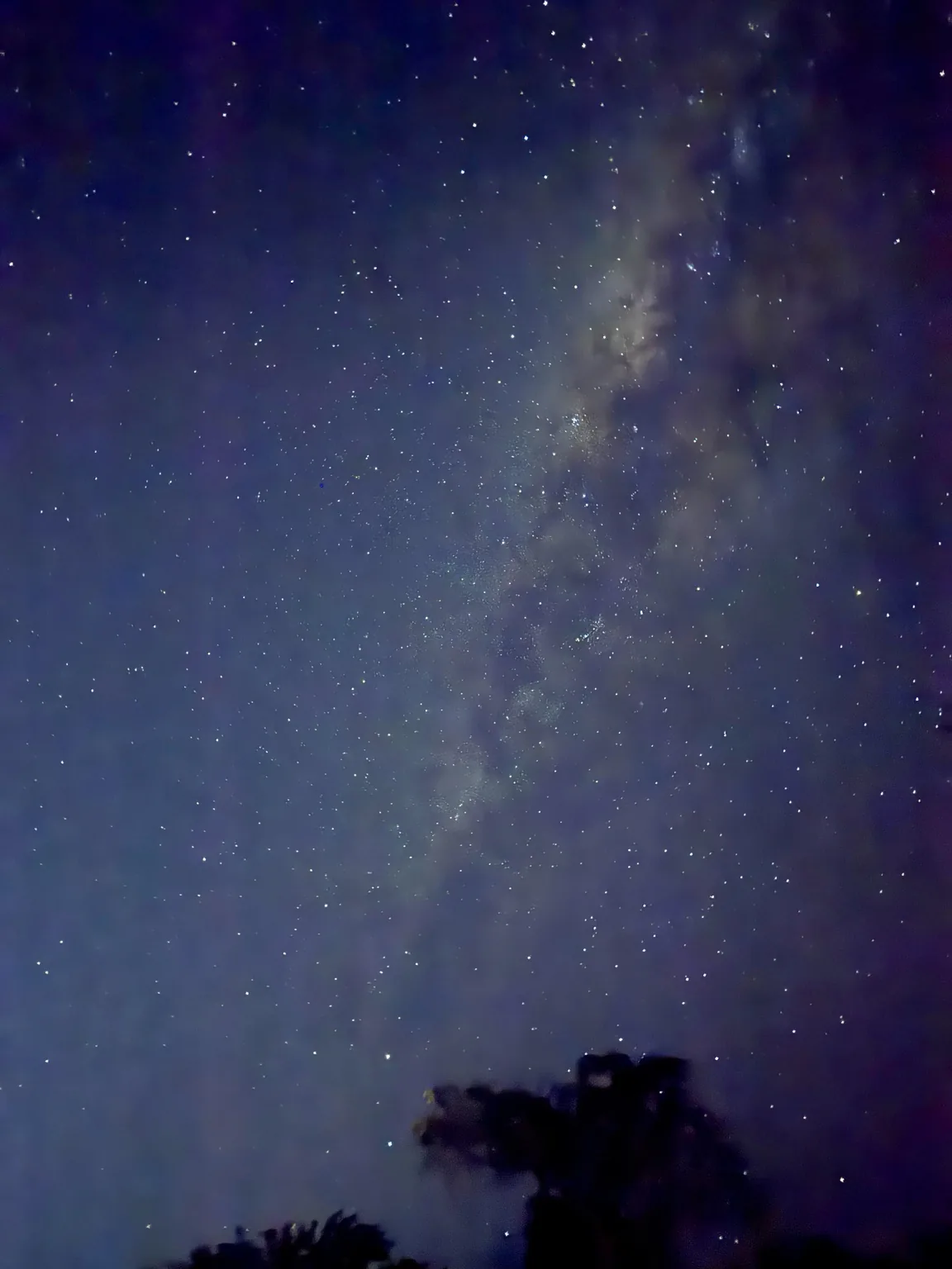 Star-filled Amazon night sky photographed at Chuchini in Beni, Bolivia