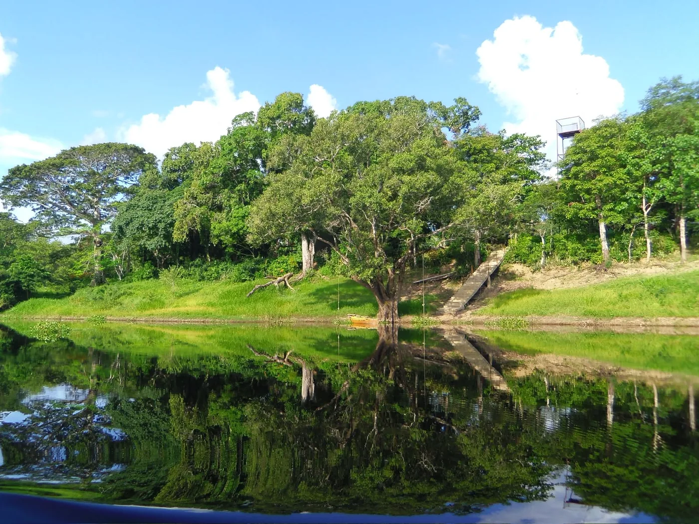 Lagoon and forest landscape at Chuchini near Trinidad, Beni, Bolivia