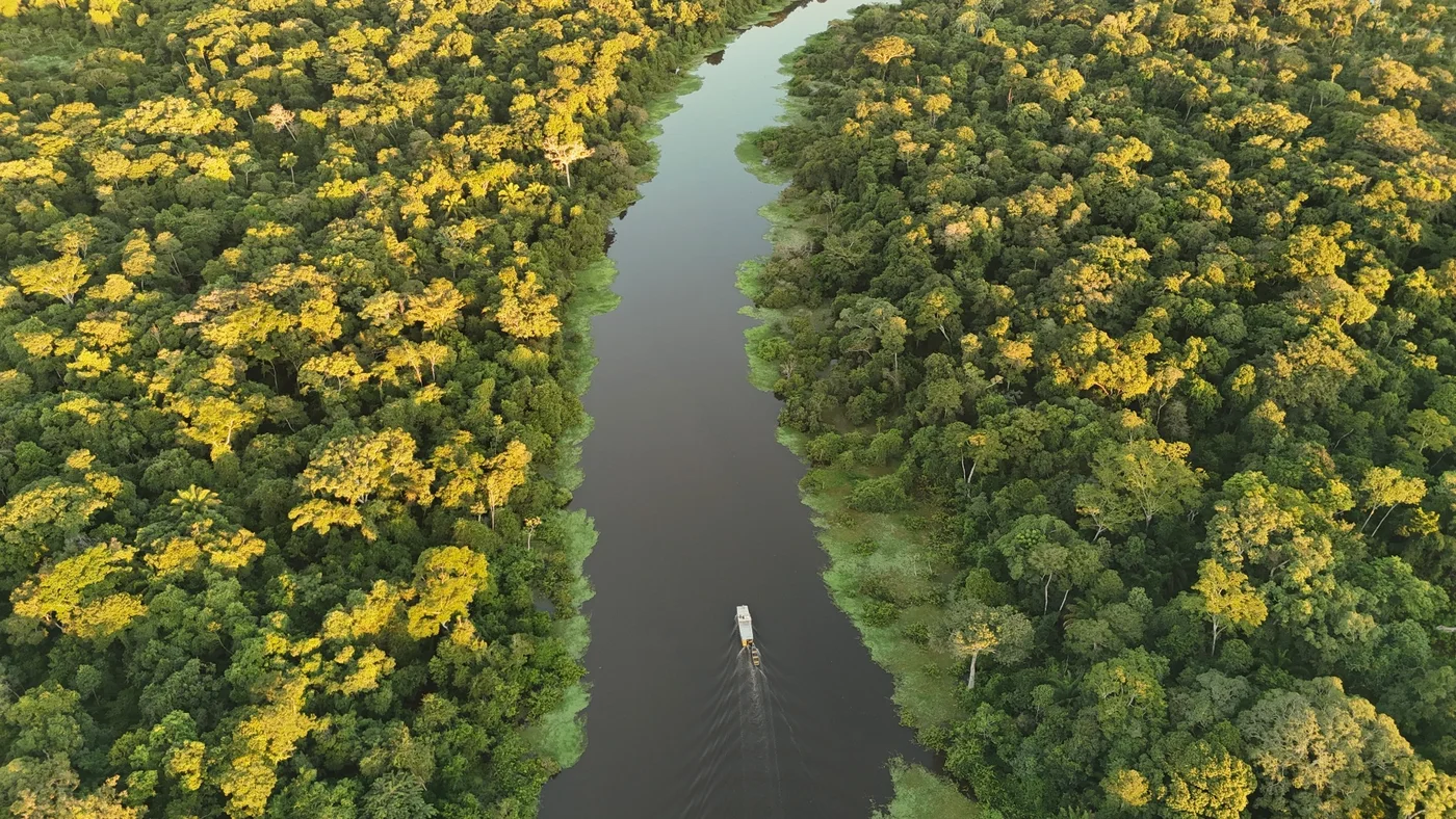 Aerial Amazon river and forest landscape at Chuchini near Trinidad, Bolivia
