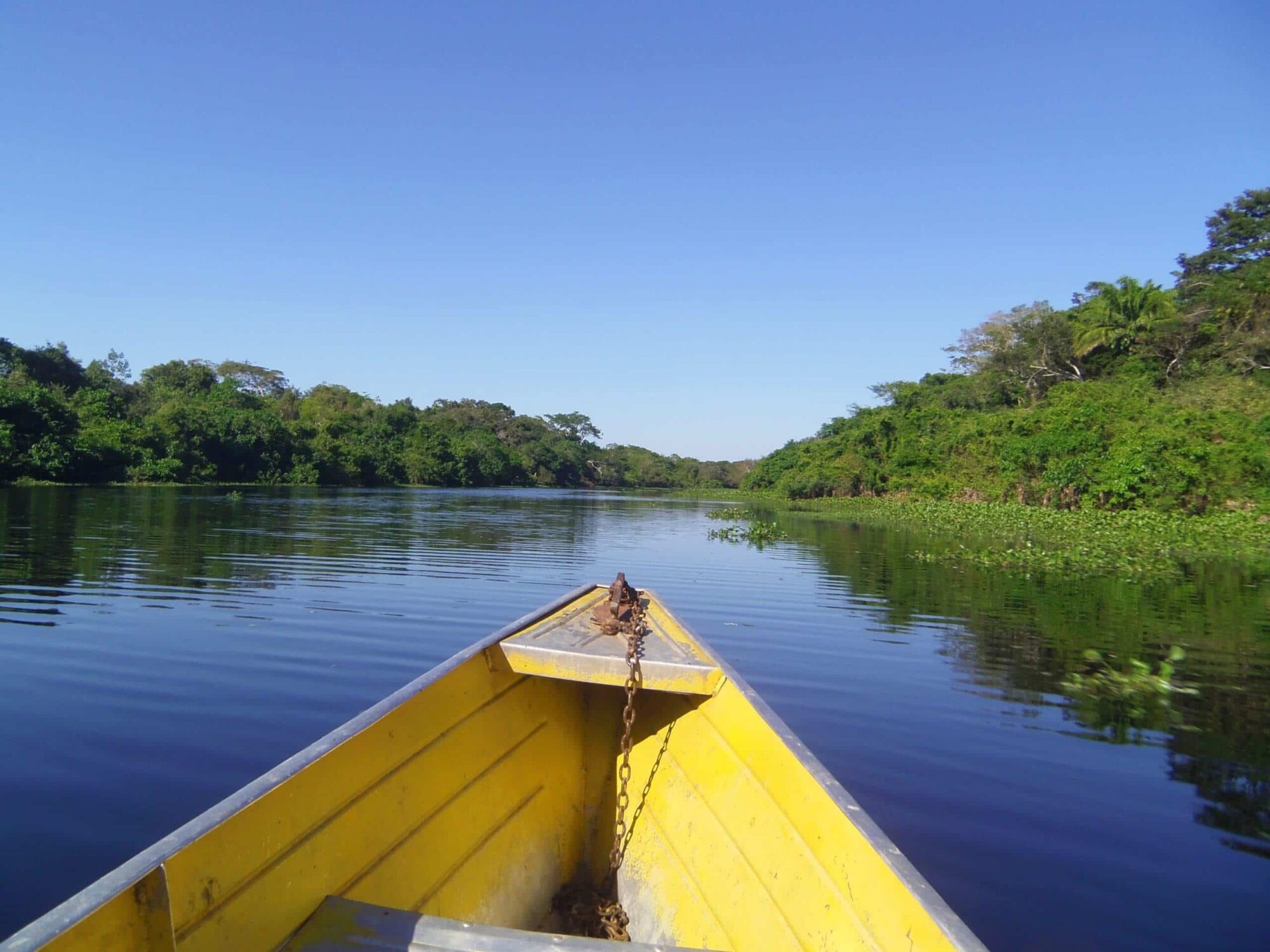 Amazon Jungle Tour La Paz Santa Cruz Cochabamba