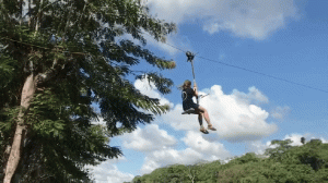 La Paz Jungle Tours
