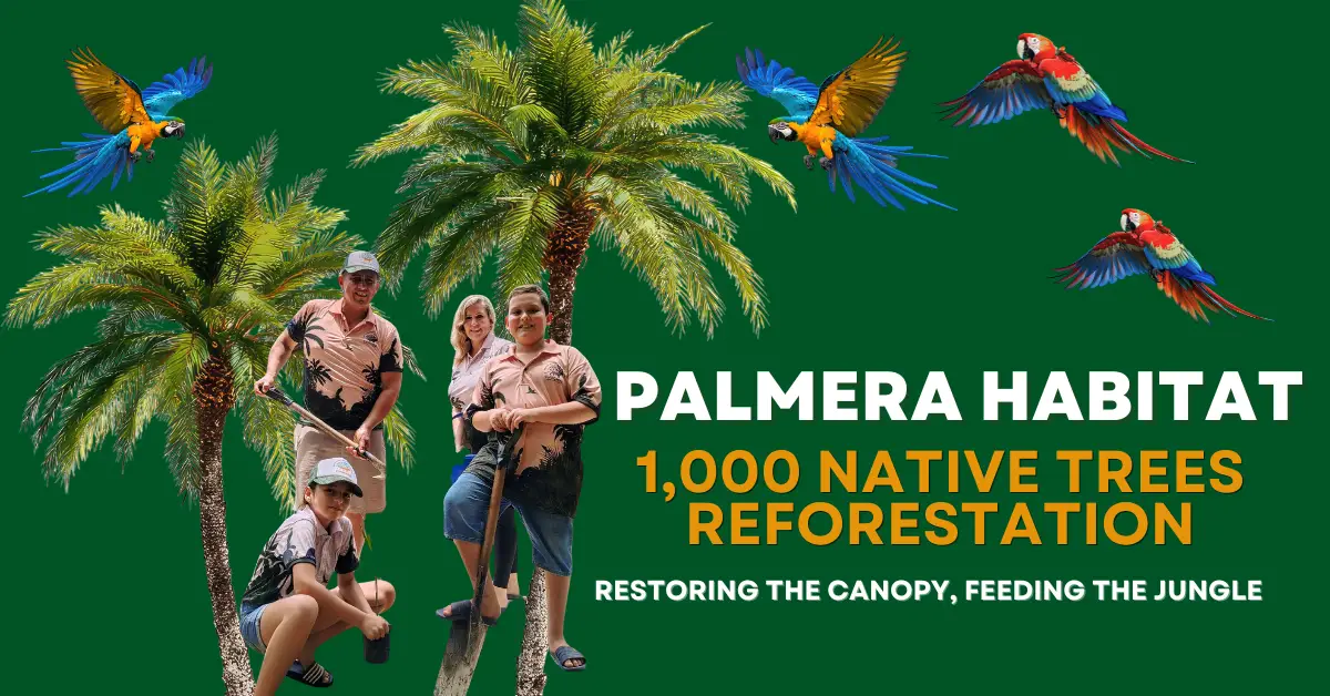 Amazon rainforest conservation: Palmera Habitat project planting native trees